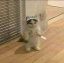 @Mary_Alaa Codeforces avatar